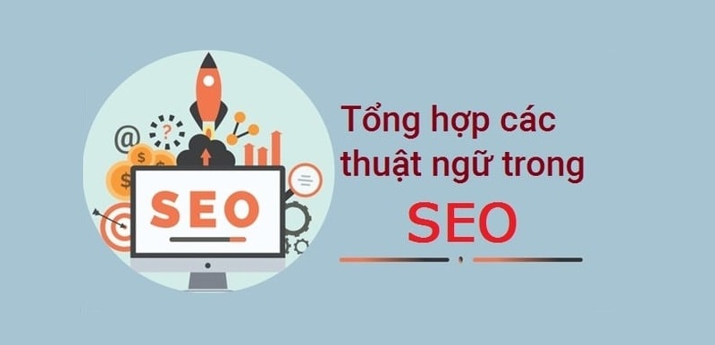 Google lưu trữ tất cả những trang trên website của bạn và tiến hành lập chỉ mục. 