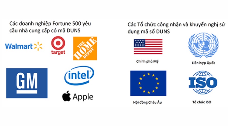 Có cơ hội hợp tác với các doanh nghiệp quốc tế nhờ mã số D-U-N-S