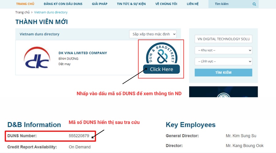 Tra cứu mã số doanh nghiệp toàn cầu D-U-N-S tại Việt Nam