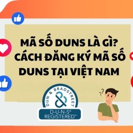 Mã số DUNS là gì? Cách đăng ký mã số DUNS tại Việt Nam 