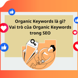 ORGANIC KEYWORDS LÀ GÌ? VAI TRÒ CỦA ORGANIC KEYWORDS TRONG SEO