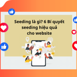 SEEDING LÀ GÌ? 6 BÍ QUYẾT SEEDING HIỆU QUẢ CHO WEBSITE