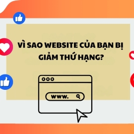 Vì sao website bị giảm thứ hạng?