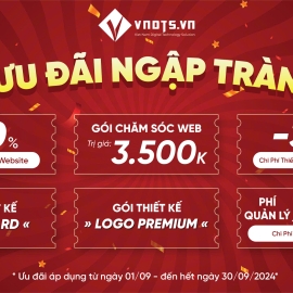 Chương Trình Khuyến Mãi Đặc Biệt Nhân Dịp 2/9 - Ưu Đãi Lớn Nhất Trong Năm tại VNDTS