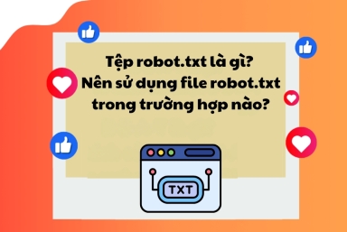 Tệp robot.txt là gì? Nên sử dụng file robot.txt trong trường hợp nào?