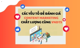 Các yếu tố để đánh giá Content Marketing chất lượng cùng VNDTS