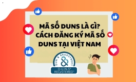 Mã số DUNS là gì? Cách đăng ký mã số DUNS tại Việt Nam 