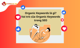 Organic Keywords là gì? Vai trò của Organic Keywords trong SEO
