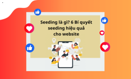 SEEDING LÀ GÌ? 6 BÍ QUYẾT SEEDING HIỆU QUẢ CHO WEBSITE
