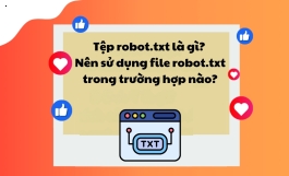 Tệp robot.txt là gì? Nên sử dụng file robot.txt trong trường hợp nào?
