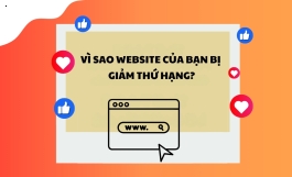 Vì sao website bị giảm thứ hạng?