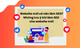 Website Mới Có Nên Làm SEO? Những Lưu Ý Khi Làm SEO Cho Web Mới